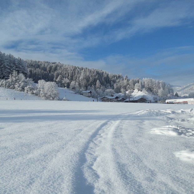 Skiweg Ferienhaus Schober zur Skischaukel Radstadt - Fotograf: Familie Hochwimmer